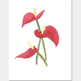 Anthurium, floral watercolor painting Posters and Art